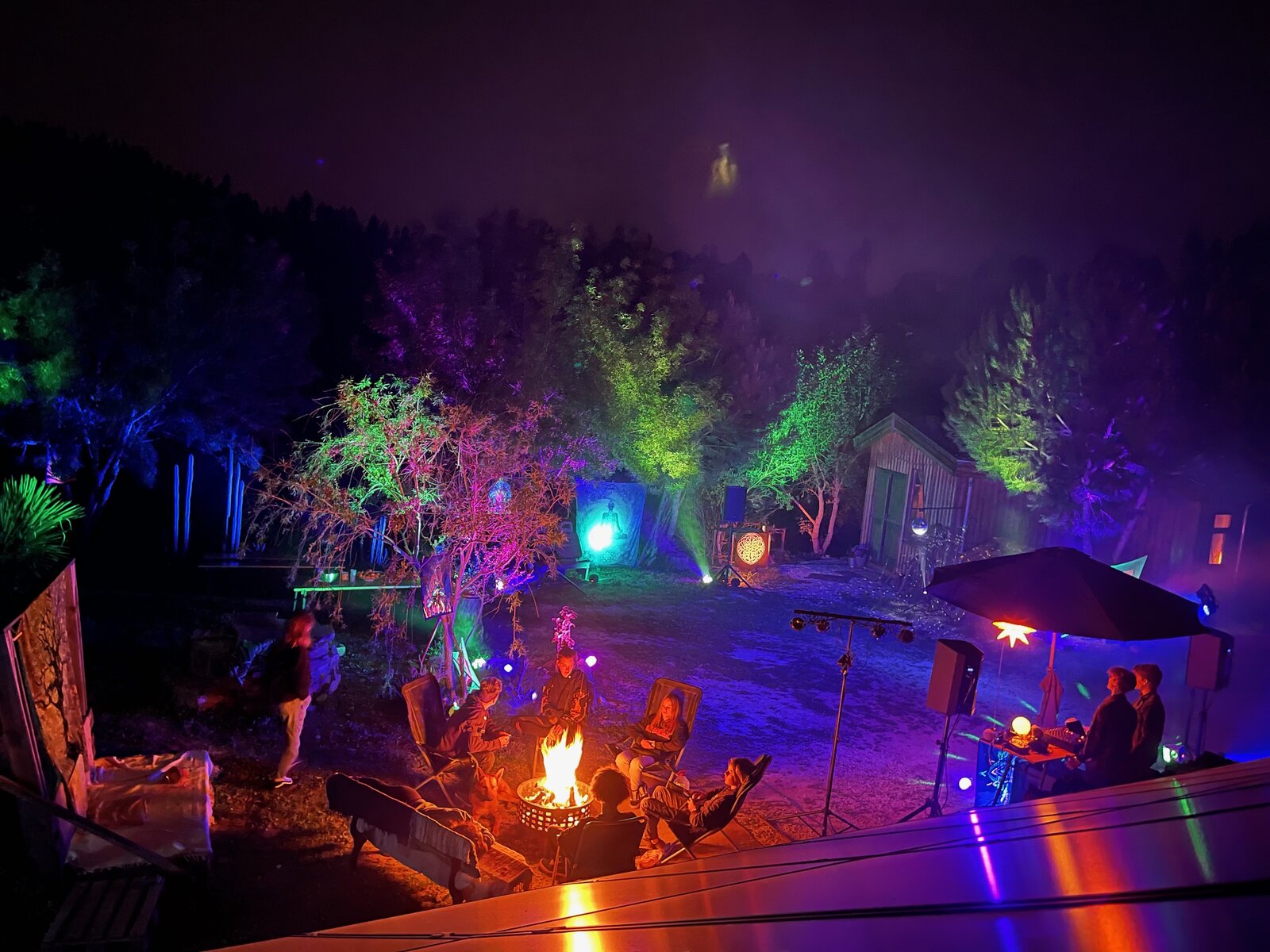 Rainbow-lit forest in mist